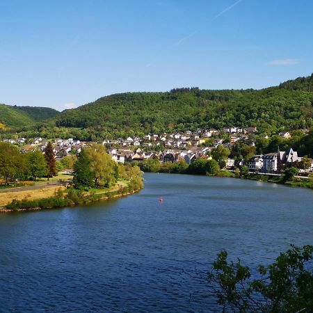 Villa Ferienhaus Moselgruen à Commune fusionnée de Cochem-Land Extérieur photo