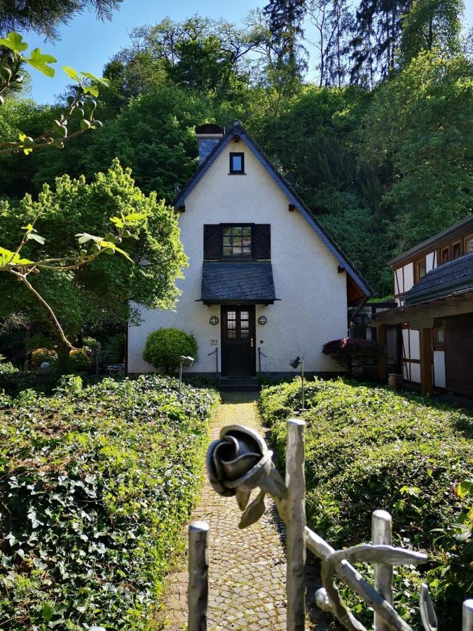 Villa Ferienhaus Moselgruen à Commune fusionnée de Cochem-Land Extérieur photo