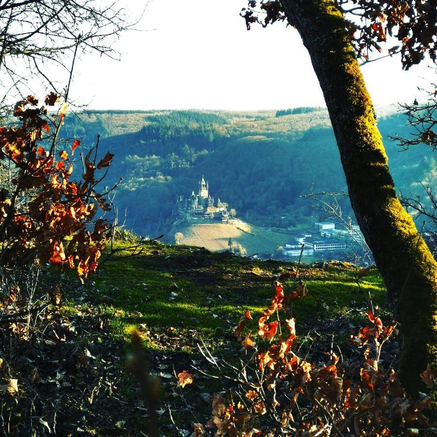 Villa Ferienhaus Moselgruen à Commune fusionnée de Cochem-Land Extérieur photo